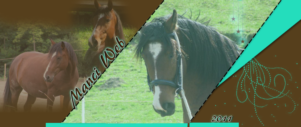 I Love My Sweet Horse...Manci | Manci Web |
